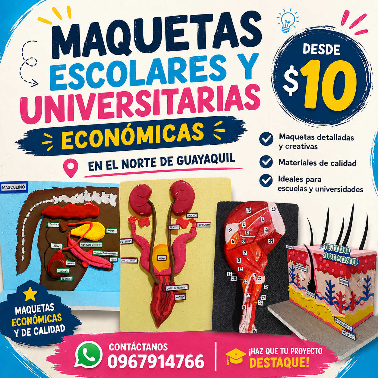 maquetas escolares y universitarias