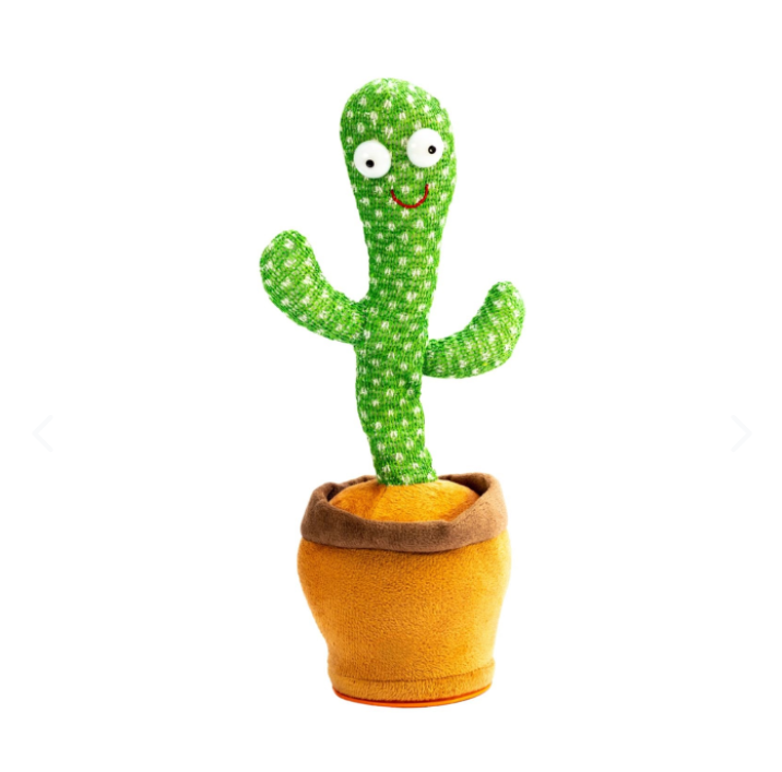 Cactus Bailarin