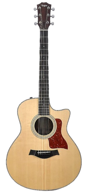 Guitarra Taylor 316 CE
